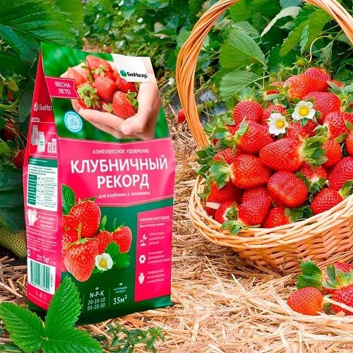 Удобрение для Клубники